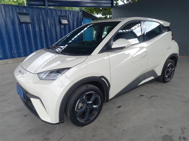 BYD DOLPHIN MINI GS EV 2024/2025 - Funcionando